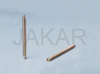 Concrete Screw