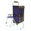Foldable Shopping Cart  Bag With Chair