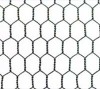 Hexagonal Wire Mesh