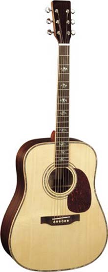 acoustic guitar