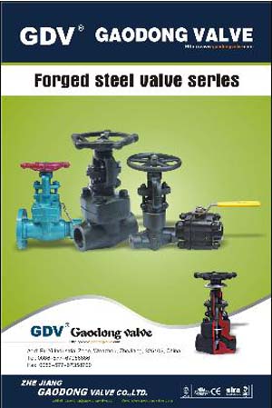 forging steel valve