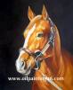 Animal   Horse oil painting