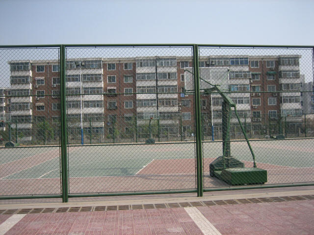 Sports Ground Fence