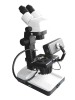 Gemological Microscope