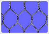 hexagonal wire mesh