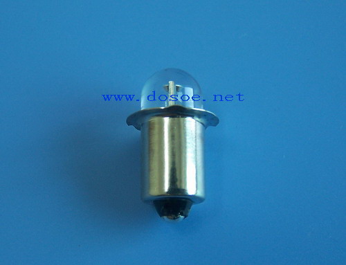 LED torch bulbs