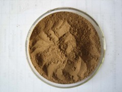 Pueraria/Kudzu Powder Extract