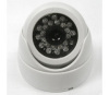 ENSTER CCD Dome IR camera