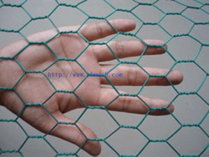 hexagonal wire mesh