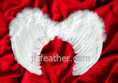 Feather Angel Wings
