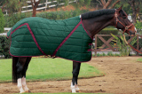 Horse Blankets (TB-01)