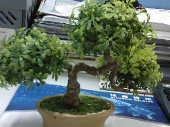 Plastic Leaf (Simulation) Bonsai Tree (Export)