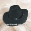 Cowboy Hat