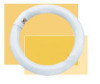 T9 Circular Fluorescent Lamp