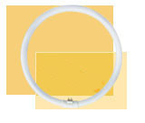 T5 Circular Fluorescent Lamp