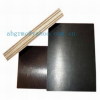 sell Film faced plywood