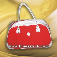 PVC Bag