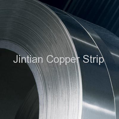 Nickel Silver Strip