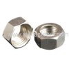 Hex Nut