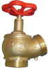  Landing Valve