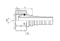 BSP Female 60°Cone O-Ring