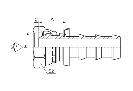 BSP Female 60°Cone