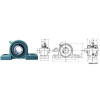 Pillow Block Ball Bearing