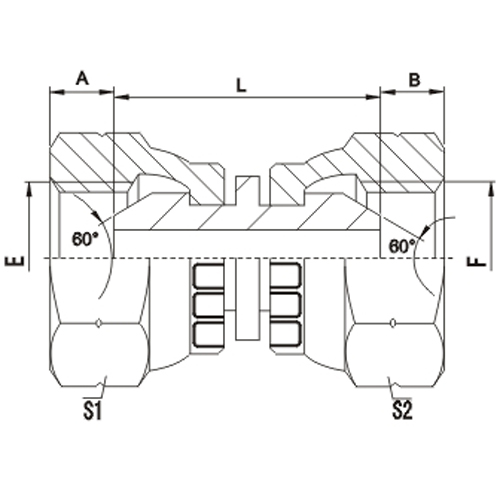 BSP Female 60°Cone