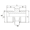 BSP Male Double USE For 60°Seat OR Bonded Seal