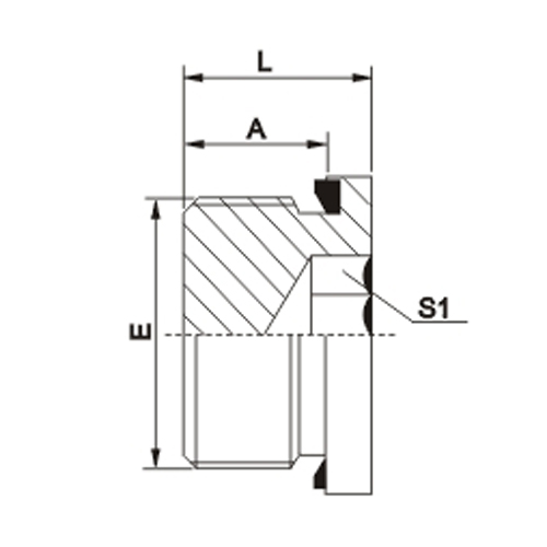 BSP Male Captive Seal Hollow Hex Plug