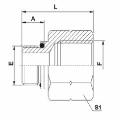 BSP Male O-Ring