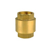 Brass spring check valve