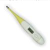 Digital Thermometer