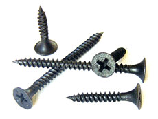 Dry Wall Screw