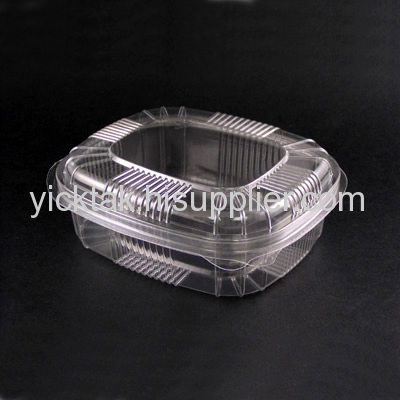 Disposable Plastic Food Container