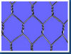 Hexagonal Wire Netting