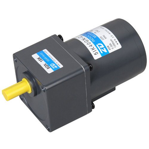 AC Induction Geared Motor