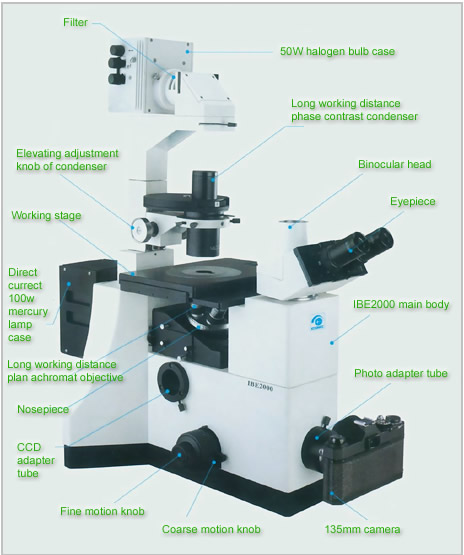 Inverted Fluorescent Microscope