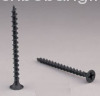 Drywall Screw