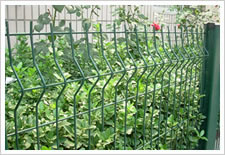 Wire Mesh Fence