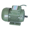 Three Phase Induction Motor