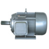 Three Phase Induction Motor