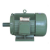 Three Phase Induction Motor