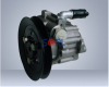 electric power steering pump