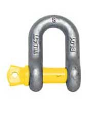 Dee Shackle Forged Alloy With Screw Pin