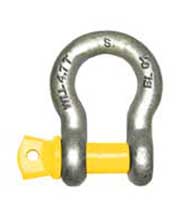 Bow Shackle With Screw Pin