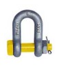 Grade S Dee Shackle With Safety Pin