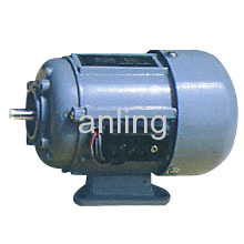 Single-phase Induction Motor