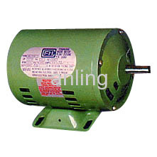 Single-phase Induction Motor