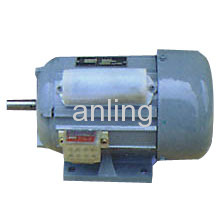 Single-phase Induction Motor